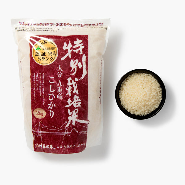 九重コシヒカリ 白米 ⋅ Kanegae ⋅ 2kg 九重コシヒカリ 白米 ⋅ Kanegae ⋅ 2kg