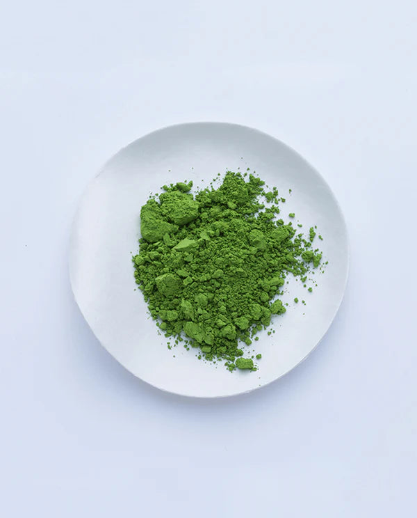 Klassischer Matcha-Tee Ikuyo no Mukashi ⋅ Ippodo Tea ⋅ 20 g