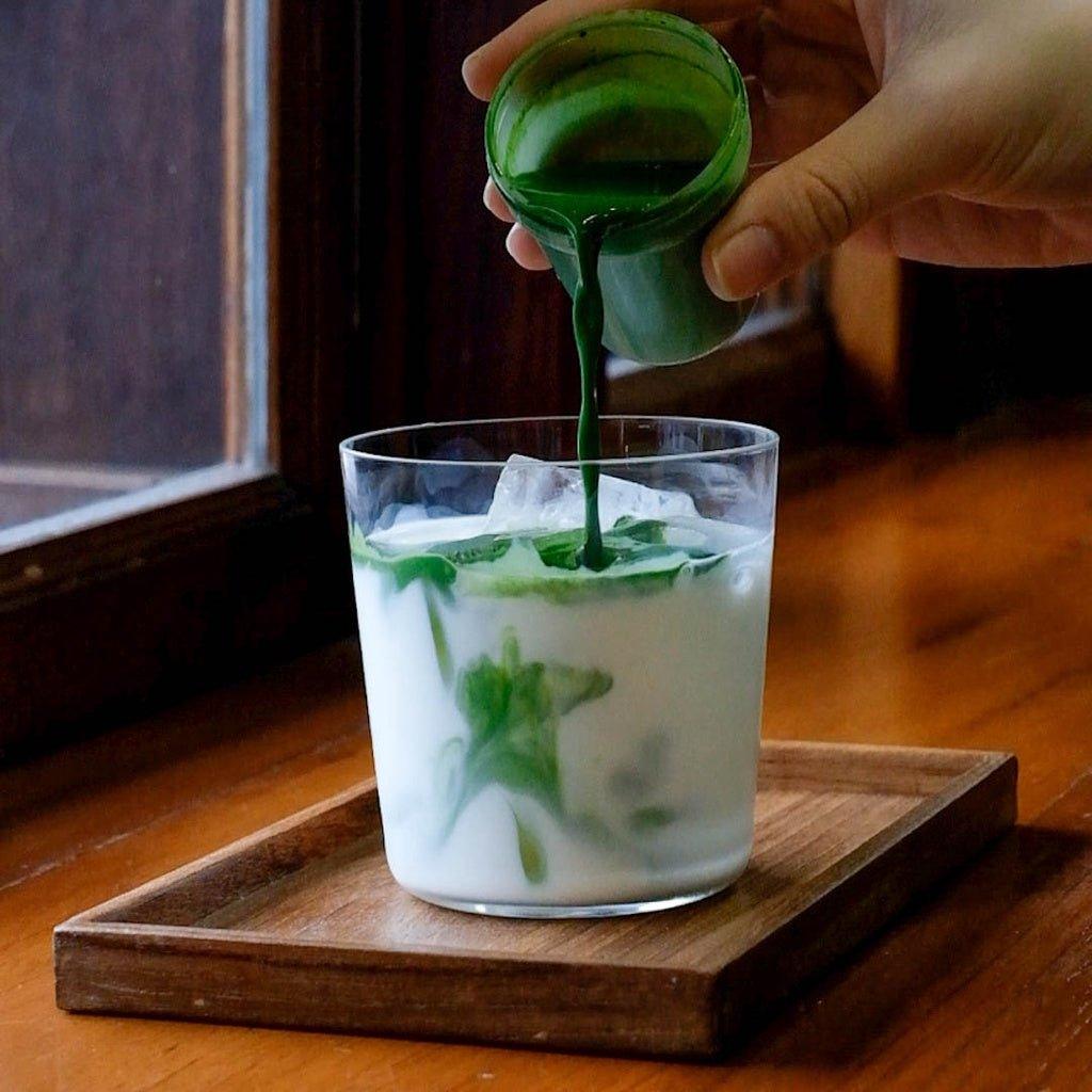 Mini-Shaker für Matcha - Yamamasa Koyamaen -iRASSHAi