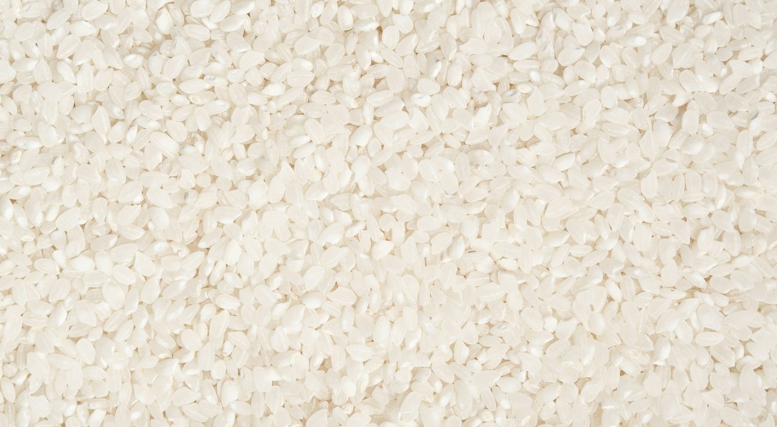 Comment cuire le riz blanc japonais ? - iRASSHAi