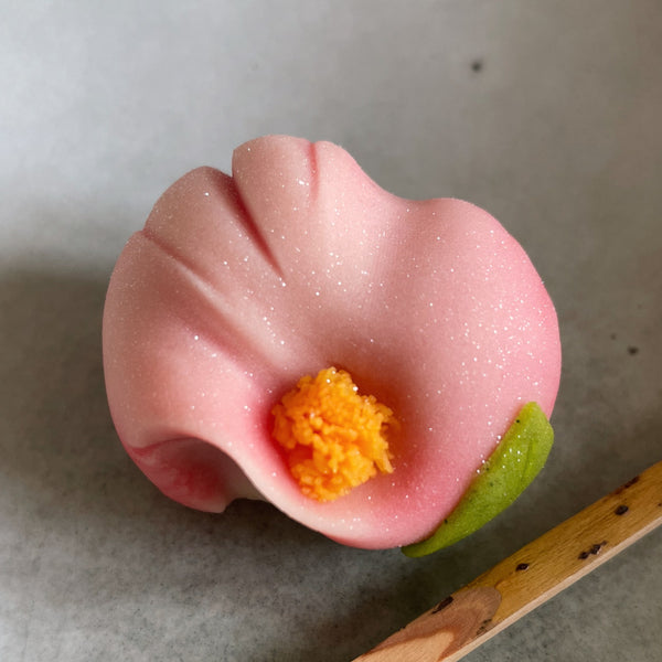 Wagashi Workshop
