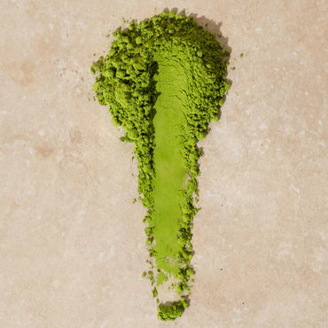 Matcha classique Faune ⋅ KURA-GE ⋅ 30g