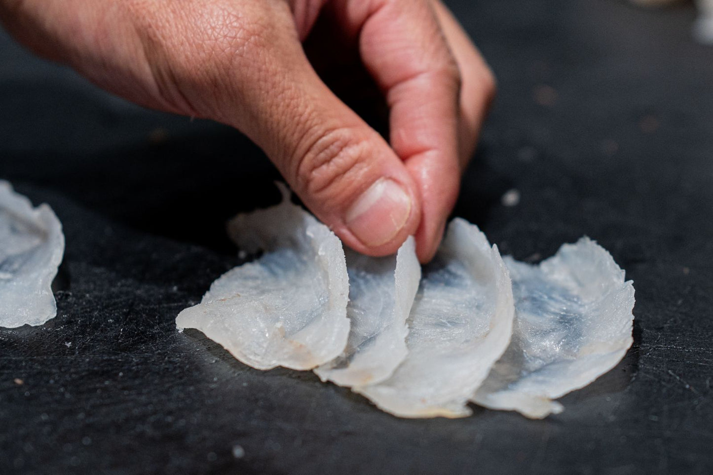 Atelier découpe de poisson