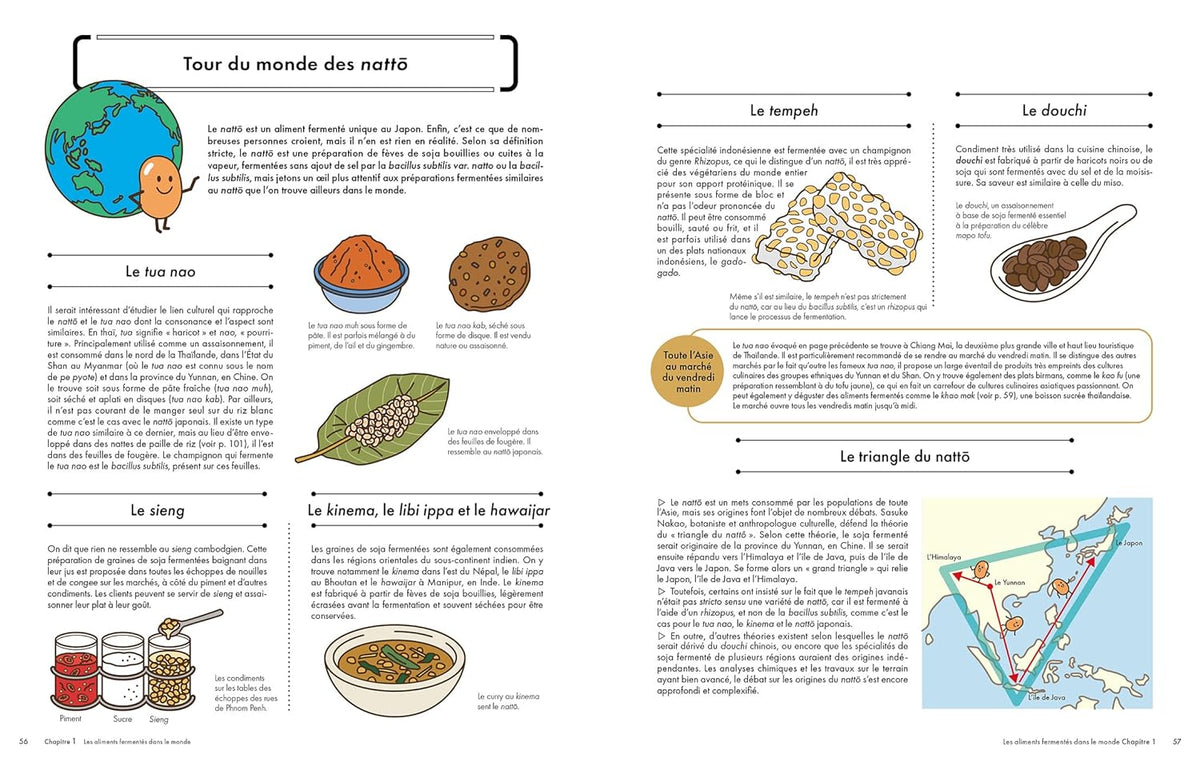 Le petit guide illustré de la fermentation à travers le monde - Hachette Pratique - iRASSHAi