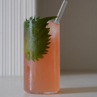 Mocktail-Rezept: Shiso Sparkle