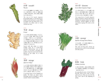 Buch An Illustrated Guide to Japanese Cooking and Annual Events - Blingual Englisch und Japanisch ⋅ Tankosha