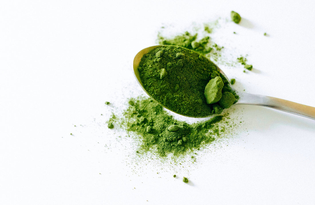 How to choose your matcha tea?