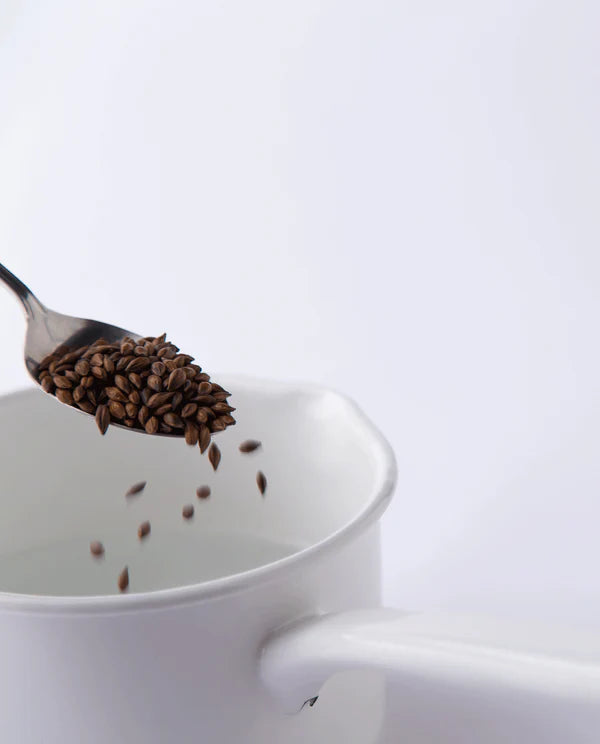 Mugicha barley infusion loose ⋅ Ippodo Tea ⋅ 407g