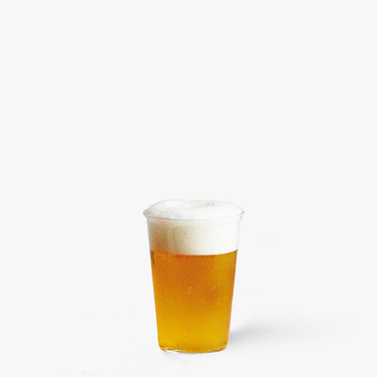 Beer glass - 430ml - Kinto -iRASSHAi