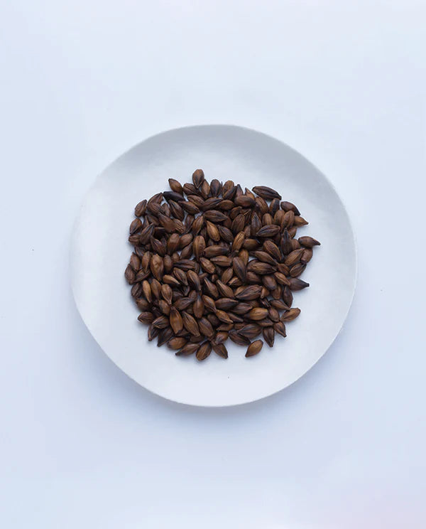 Infusión de cebada mugicha suelta ⋅ Té Ippodo ⋅ 407g