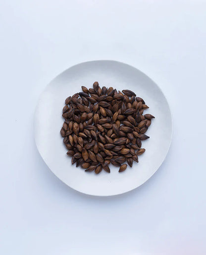 Infusión de cebada mugicha suelta ⋅ Té Ippodo ⋅ 407g