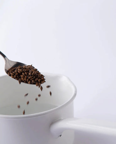 Gerst mugicha infusie los ⋅ Ippodo Tea ⋅ 407g