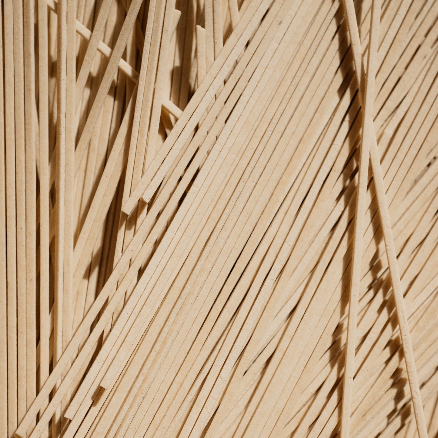 Shinshu soba noodles ⋅ Shinshu Togakushi Soba voor iRASSHAi ⋅ 200g